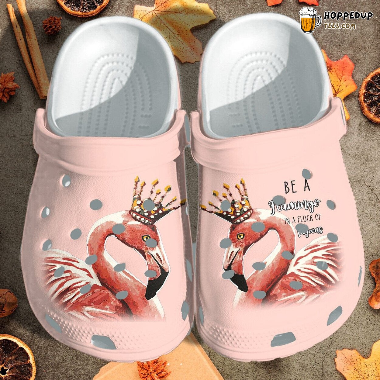 Be Flamingo Flock Pigeons Theme Shoes Girl Unique Inspirational Design
