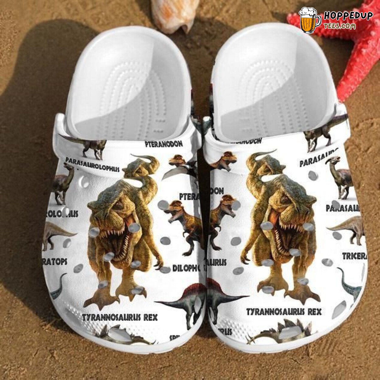 Dinosaur Lover Types Pattern Comfortable Unique Rubber Clog Shoes