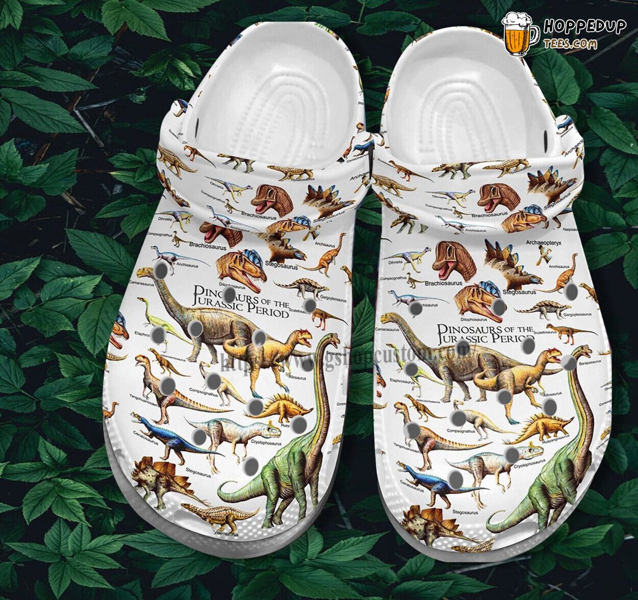 Dinosaur Species Jurassic Theme Shoes Birthday Gift Son In Law Lover Clogs