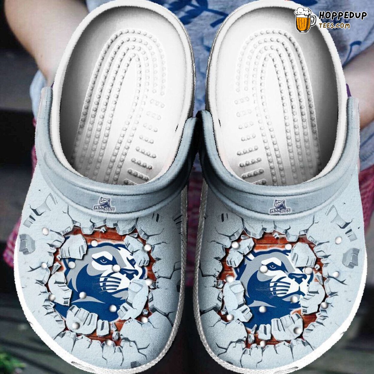 Penn State Nittany Lions Tide Themed Comfortable Unique Clog Shoes