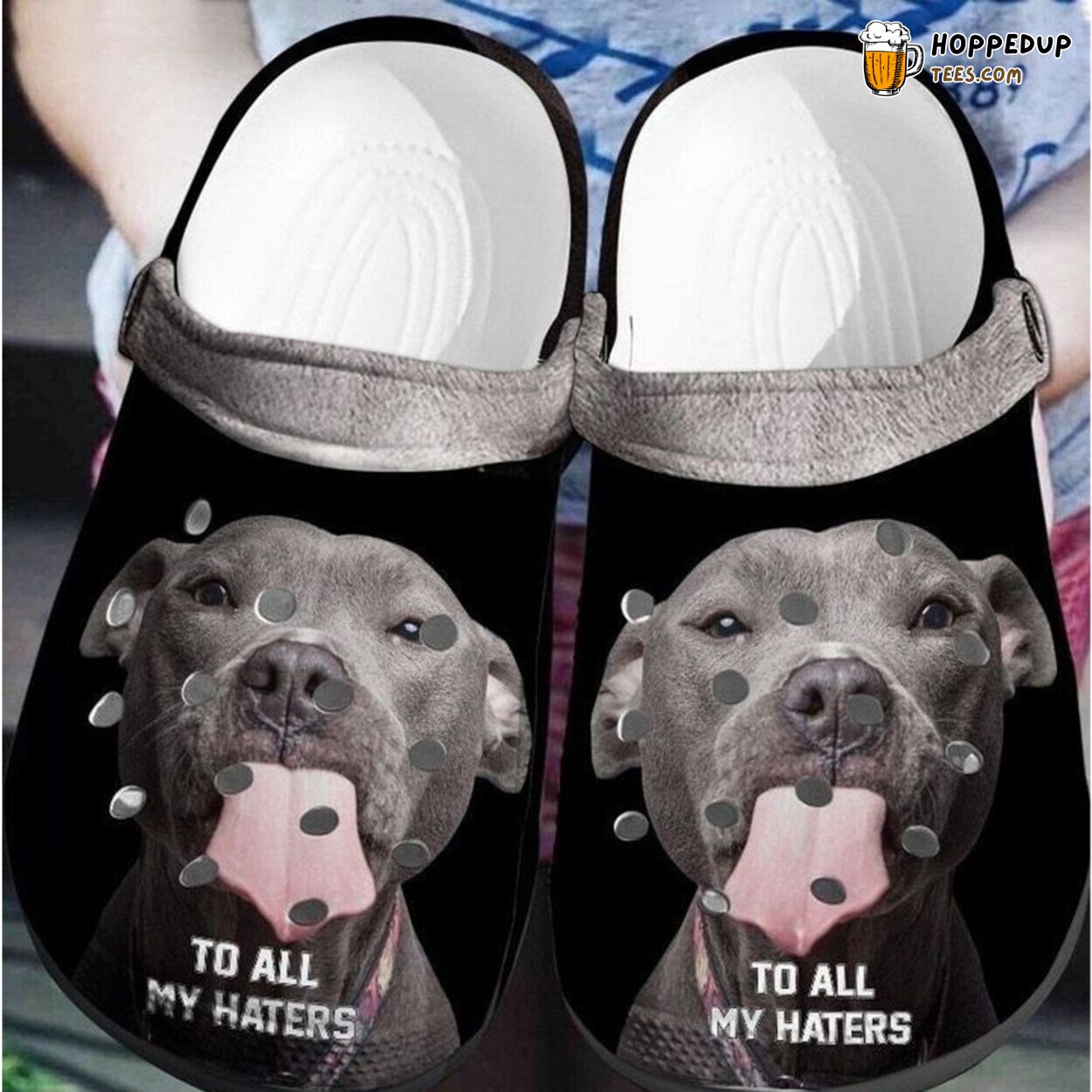 Pitbull To All My Haters Themed Rubber Clog Shoes Comfy Footwear for Fans