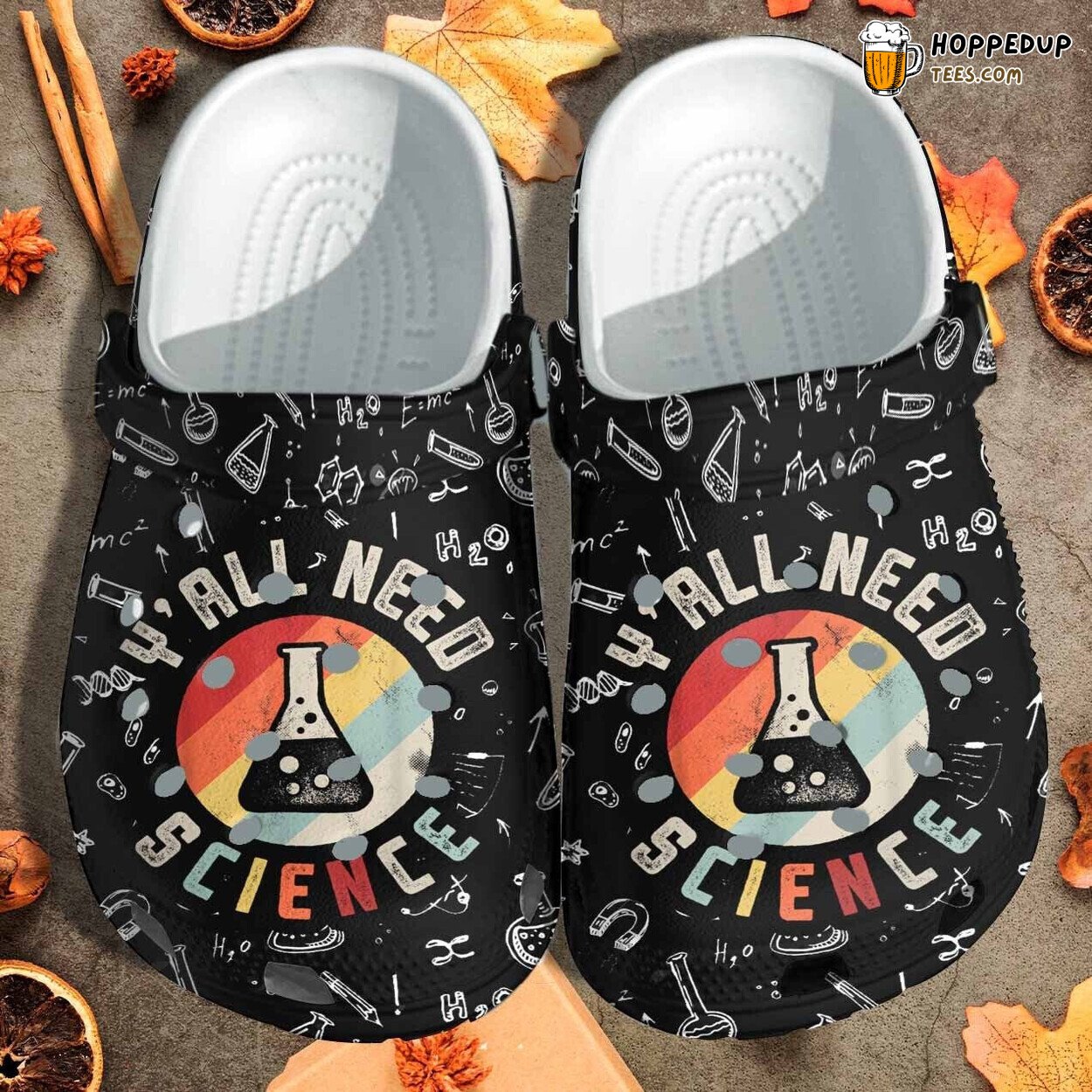 Science Funny Themed Birthday Gift Chemistry Teacher Clogs Shoes