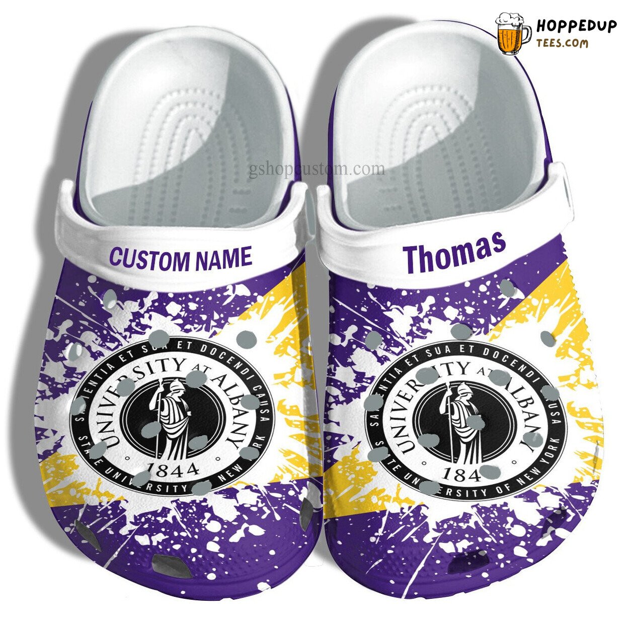 University Albany Graduation Custom Croc Shoes Admission Gift Unique