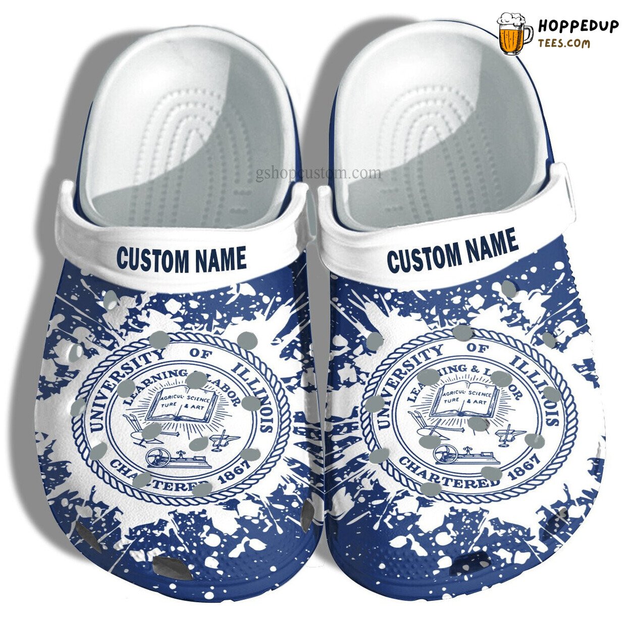 University Illinois Graduation Special Croc Shoes Customizable Gift Unique Style